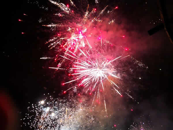 2019年禮花